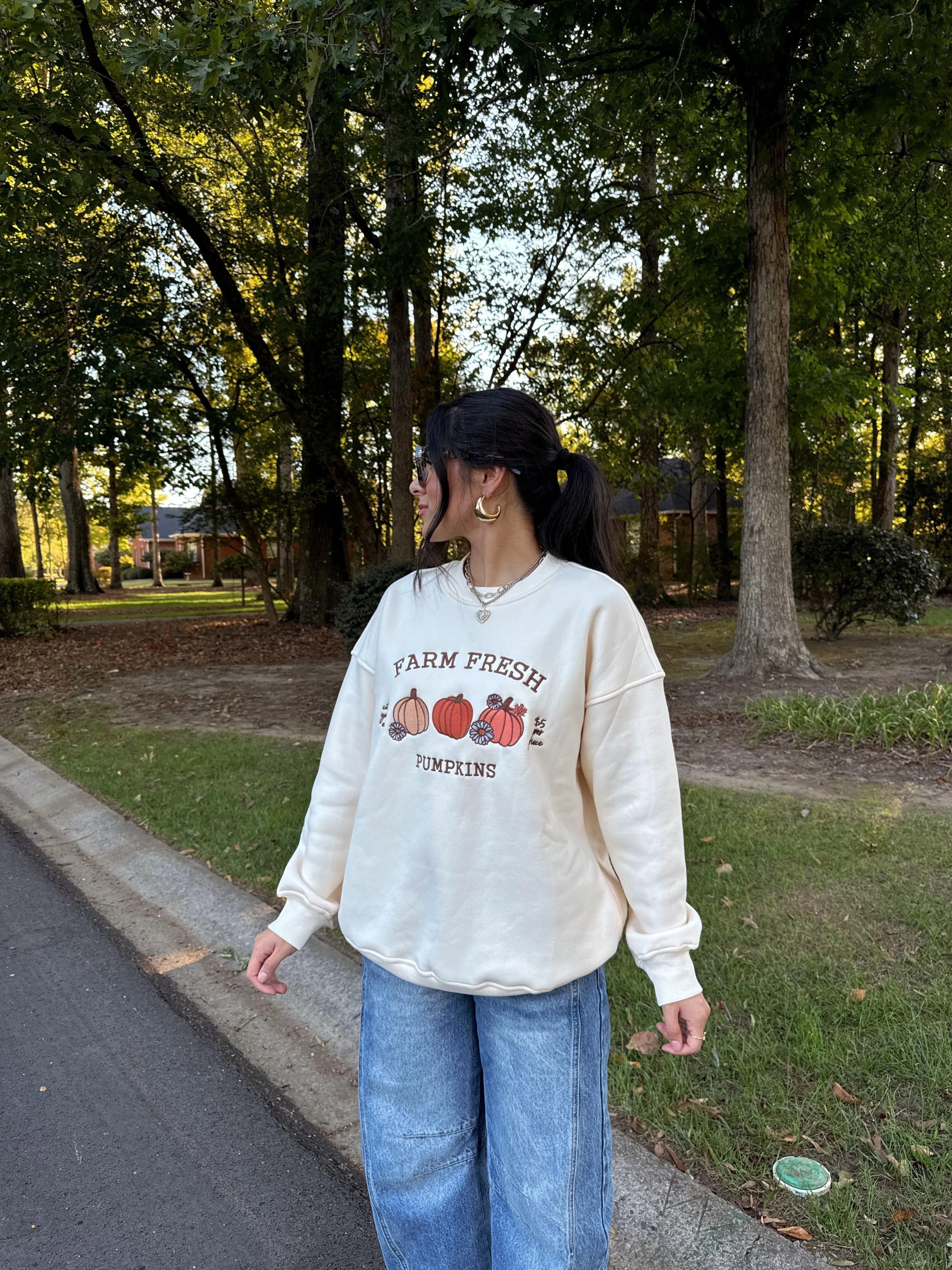 Pumpkins Embroidered Fleece Sweater